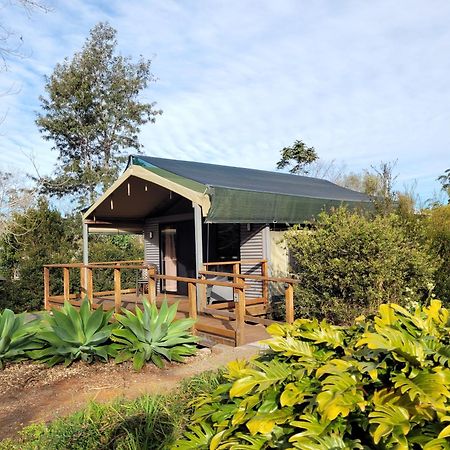 מאונט טאמבורין Southern Sky Glamping מראה חיצוני תמונה